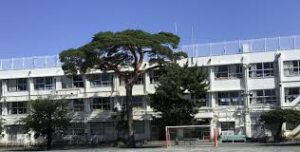 子供の学校の場所は玉川小学校？